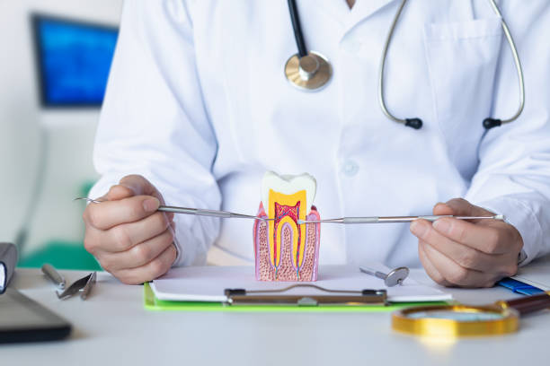 Best Emergency Treatment for Dental Infections or Abscesses in Clever, MO